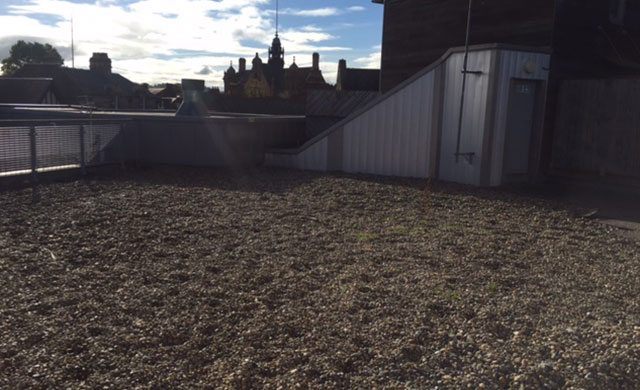 South West flat roofing project