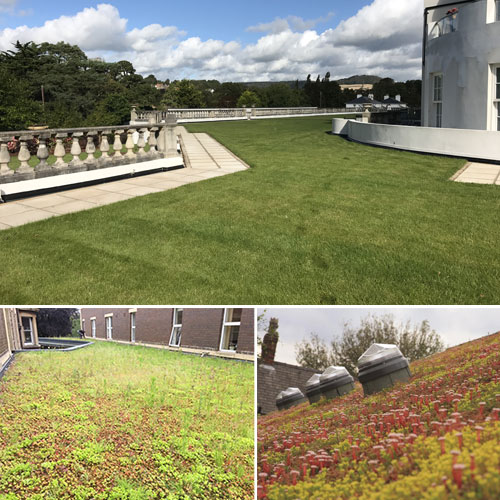 TCRC-Green-Roof-Systems green roofing Bristol